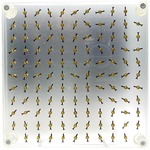 Photo of the: Magnetic Field Model